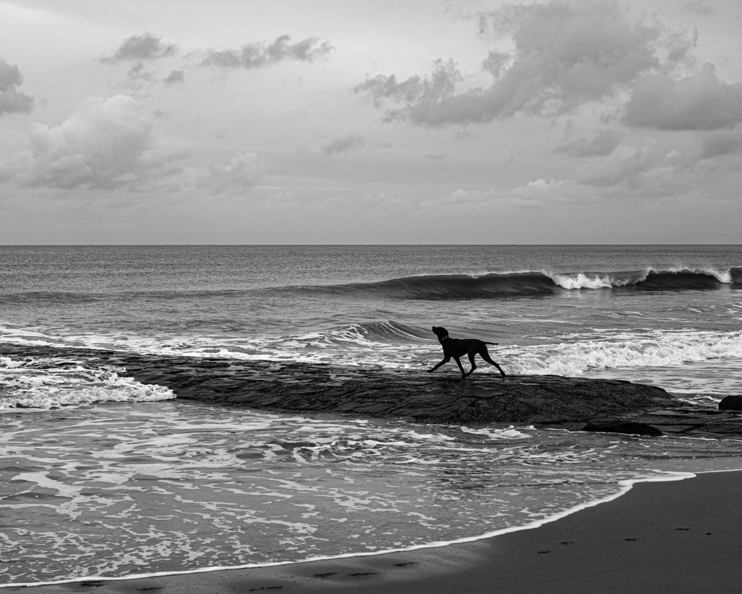 Sea, Sand and Land
