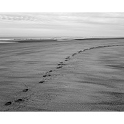 Sea, Sand and Land - 020