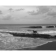 Sea, Sand and Land - 025