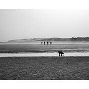 Sea, Sand and Land - 027