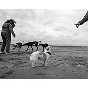 Sea, Sand and Land - 029