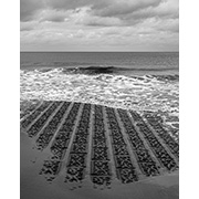 Sea, Sand and Land - 041