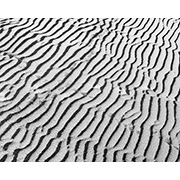 Sea, Sand and Land - 042