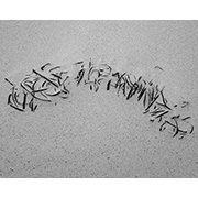 Sea, Sand and Land - 047