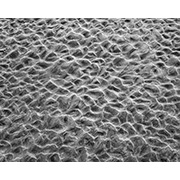 Sea, Sand and Land - 055