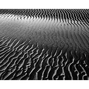Sea, Sand and Land - 057