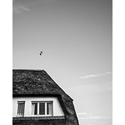 Sea, Sand and Land - 071