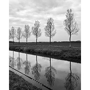 Sea, Sand and Land - 082