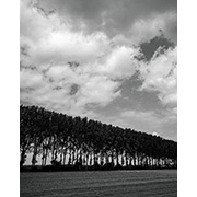 Sea, Sand and Land - 085