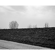 Sea, Sand and Land - 095