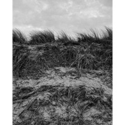 Sea, Sand and Land - 098