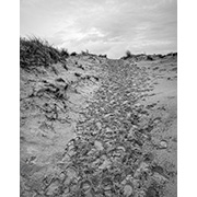 Sea, Sand and Land - 101