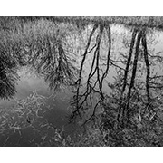 Sea, Sand and Land - 103