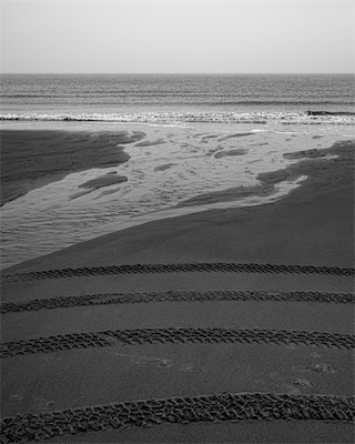 Sea, Sand and Land #19