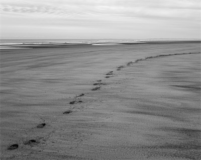 Sea, Sand and Land #20