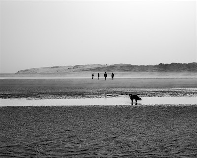 Sea, Sand and Land #27