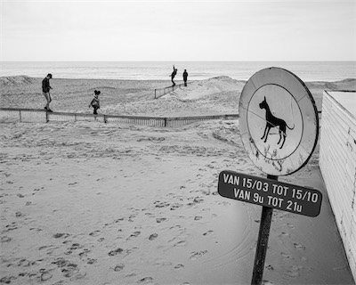 Sea, Sand and Land #30