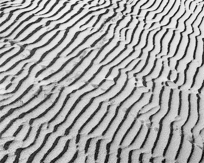 Sea, Sand and Land #42