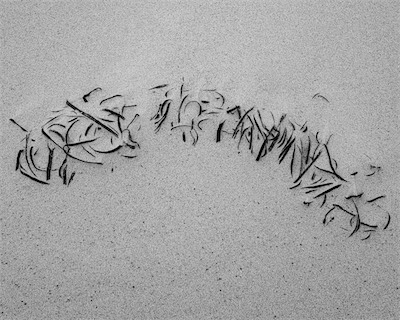 Sea, Sand and Land #47