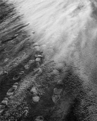 Sea, Sand and Land #51