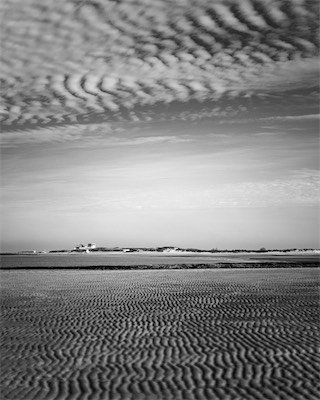 Sea, Sand and Land #59