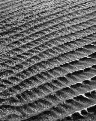 Sea, Sand and Land #61