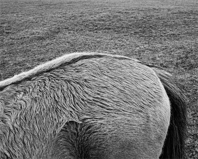 Sea, Sand and Land #63