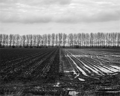 Sea, Sand and Land #65