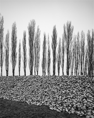 Sea, Sand and Land #67