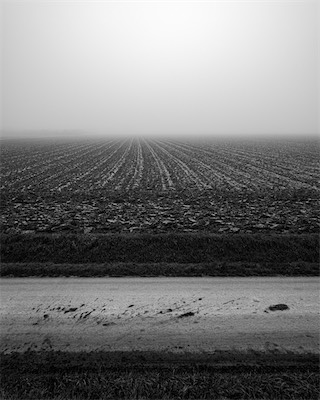 Sea, Sand and Land #78