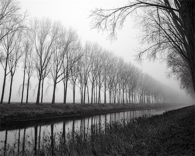 Sea, Sand and Land #81