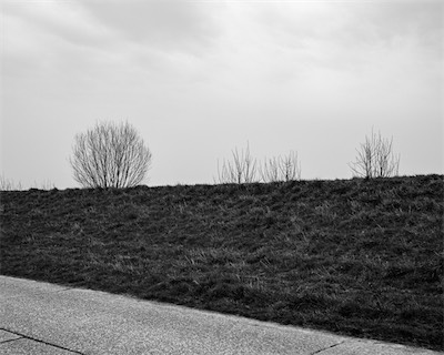 Sea, Sand and Land #95