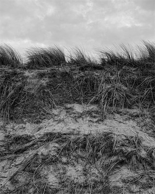 Sea, Sand and Land #98