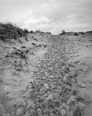 Sea, Sand and Land #101