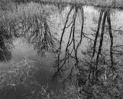 Sea, Sand and Land #103